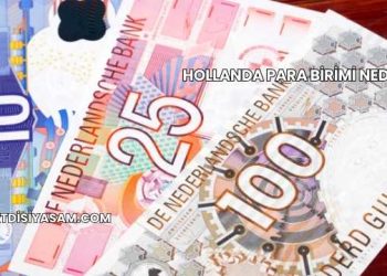 Hollanda Para Birimi Nedir?