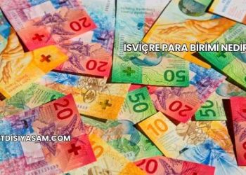 İsviçre Para Birimi Nedir?