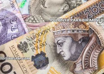 Polonya Para Birimi Nedir?