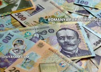 Romanya Para Birimi Nedir?
