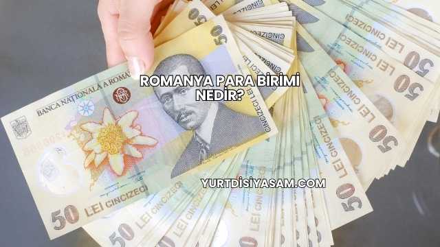 Romanya Para Birimi Nedir?