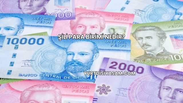 Şili Para Birimi Nedir?