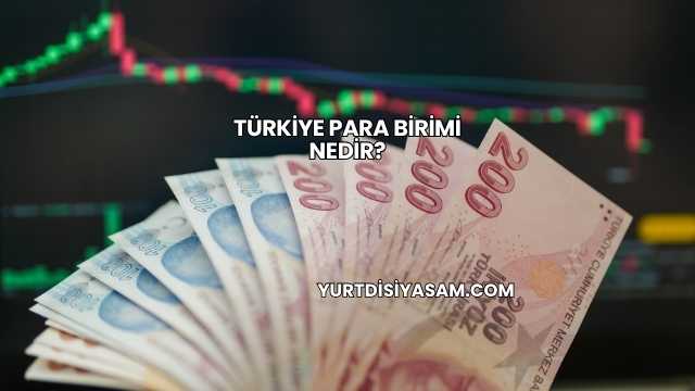 Türkiye Para Birimi Nedir?