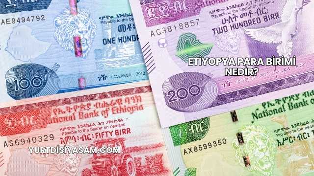 Etiyopya Para Birimi Nedir?