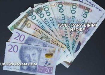 İsveç Para Birimi Nedir?