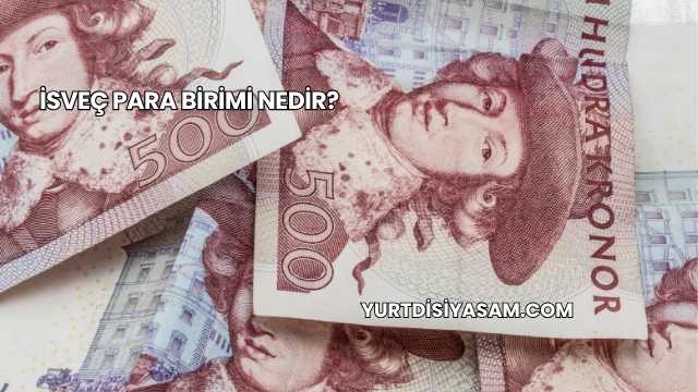 İsveç Para Birimi Nedir?