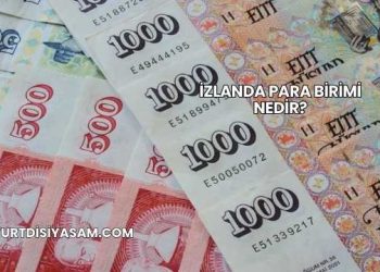 İzlanda Para Birimi Nedir?