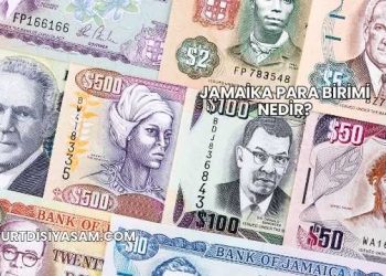 Jamaika Para Birimi Nedir?