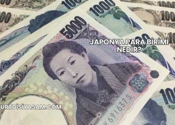 Japonya Para Birimi Nedir?