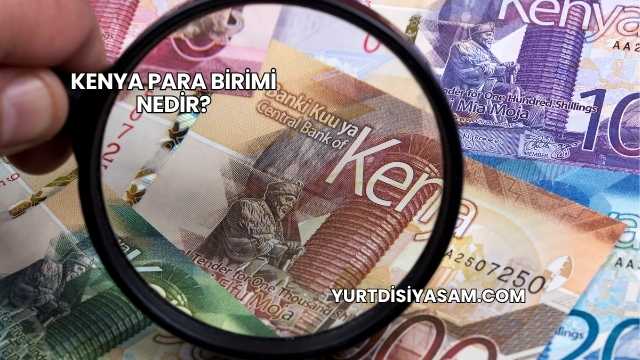 Kenya Para Birimi Nedir?