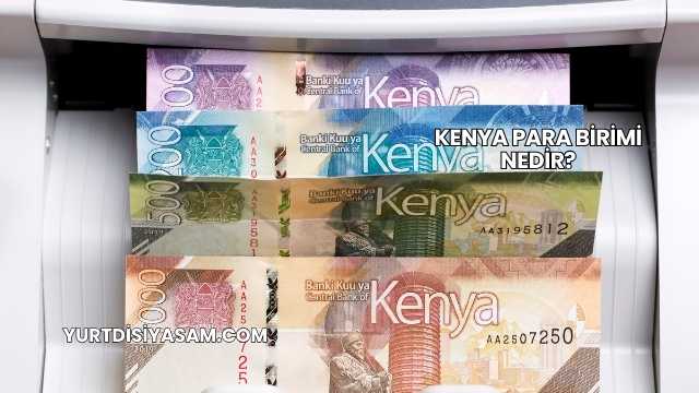 Kenya Para Birimi Nedir?
