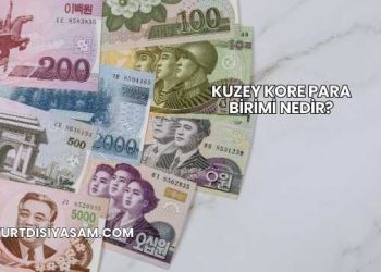 Kuzey Kore Para Birimi Nedir?