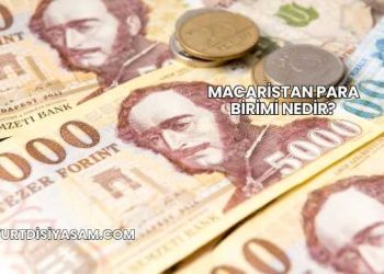 Macaristan Para Birimi Nedir?