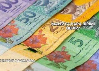 Malezya Para Birimi Nedir?