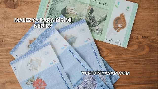 Malezya Para Birimi Nedir?