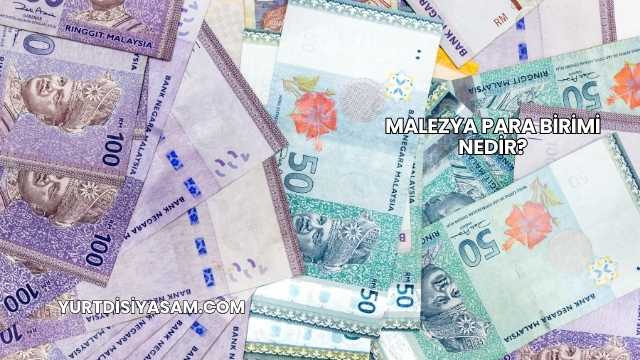 Malezya Para Birimi Nedir?
