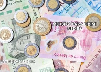 Meksika Para Birimi Nedir?