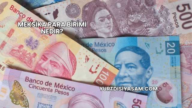 Meksika Para Birimi Nedir?