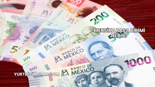 Meksika Para Birimi Nedir?