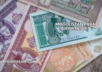 Moğolistan Para Birimi Nedir?