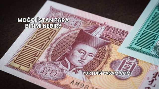 Moğolistan Para Birimi Nedir?
