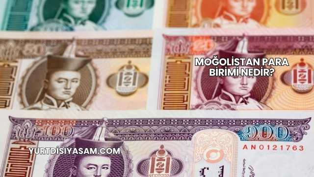 Moğolistan Para Birimi Nedir?