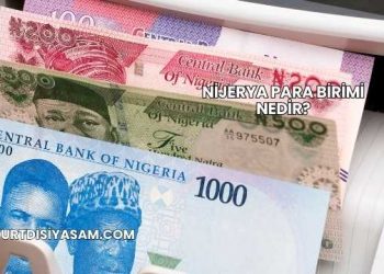 Nijerya Para Birimi Nedir?
