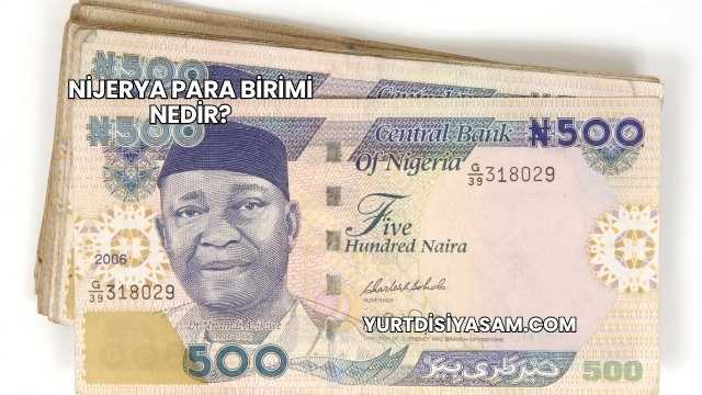 Nijerya Para Birimi Nedir?