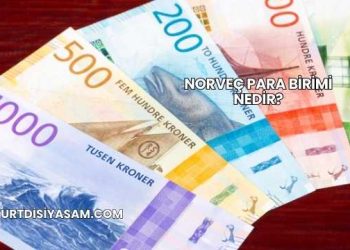 Norveç Para Birimi Nedir?