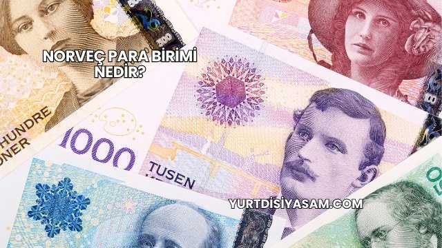 Norveç Para Birimi Nedir?
