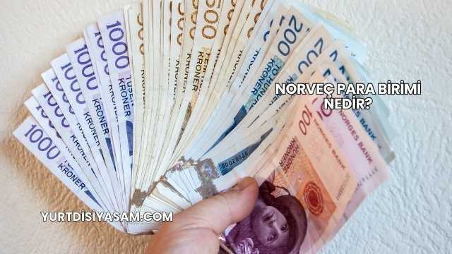 Norveç Para Birimi Nedir?