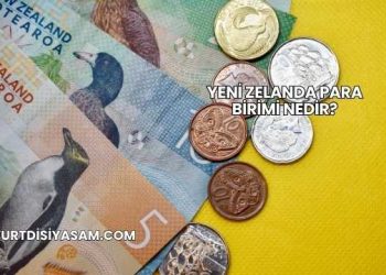 Yeni Zelanda Para Birimi Nedir?